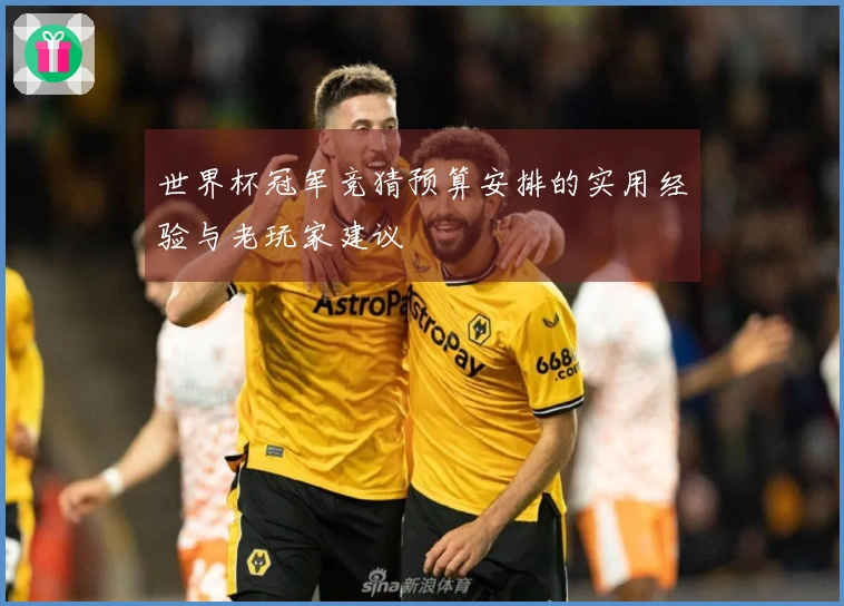 世界杯冠军竞猜预算安排的实用经验与老玩家建议