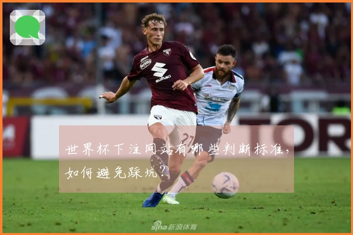 世界杯下注网站有哪些判断标准，如何避免踩坑？