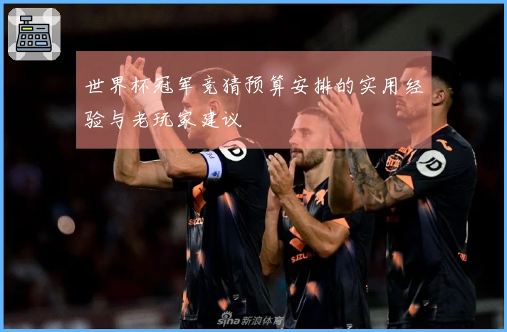 世界杯冠军竞猜预算安排的实用经验与老玩家建议