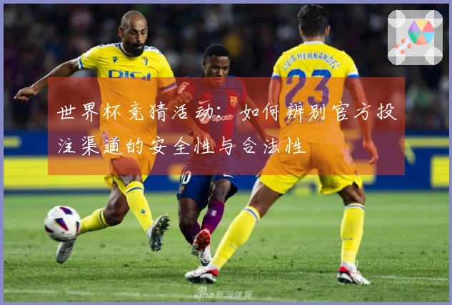 世界杯竞猜活动：如何辨别官方投注渠道的安全性与合法性